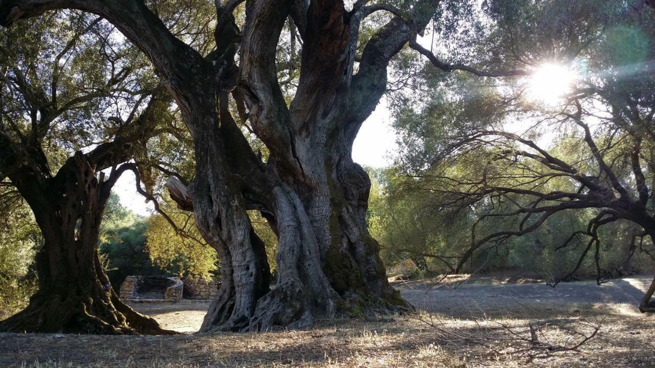 Il Giardino All'Angolo Villacidro ภายนอก รูปภาพ